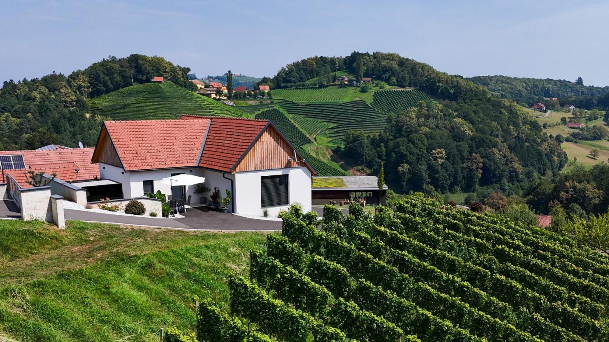 Chalet Sgarz *